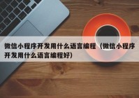 微信小程序开发用什么语言编程（微信小程序开发用什么语言编程好）