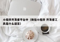 小程序开发者平台中（微信小程序 开发者工具是什么语言）