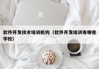 软件开发技术培训机构（软件开发培训有哪些学校）