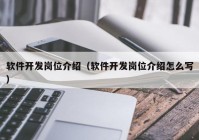 软件开发岗位介绍（软件开发岗位介绍怎么写）